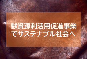 獣資源利活用促進事業の事業設計アドバイザーに着任